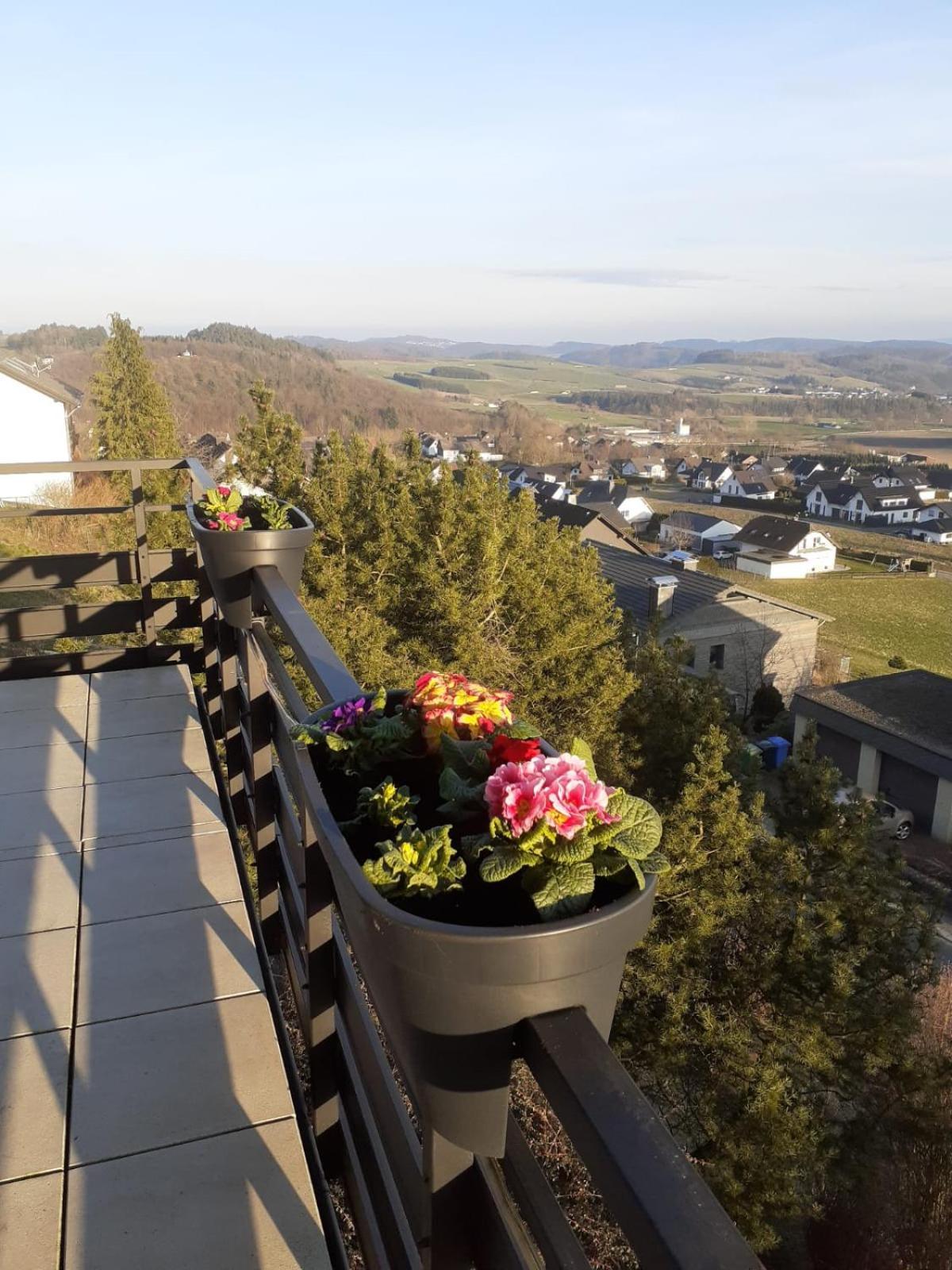 Ferienwohnungen Sternenhimmel Whg 1 Medebach Exterior foto