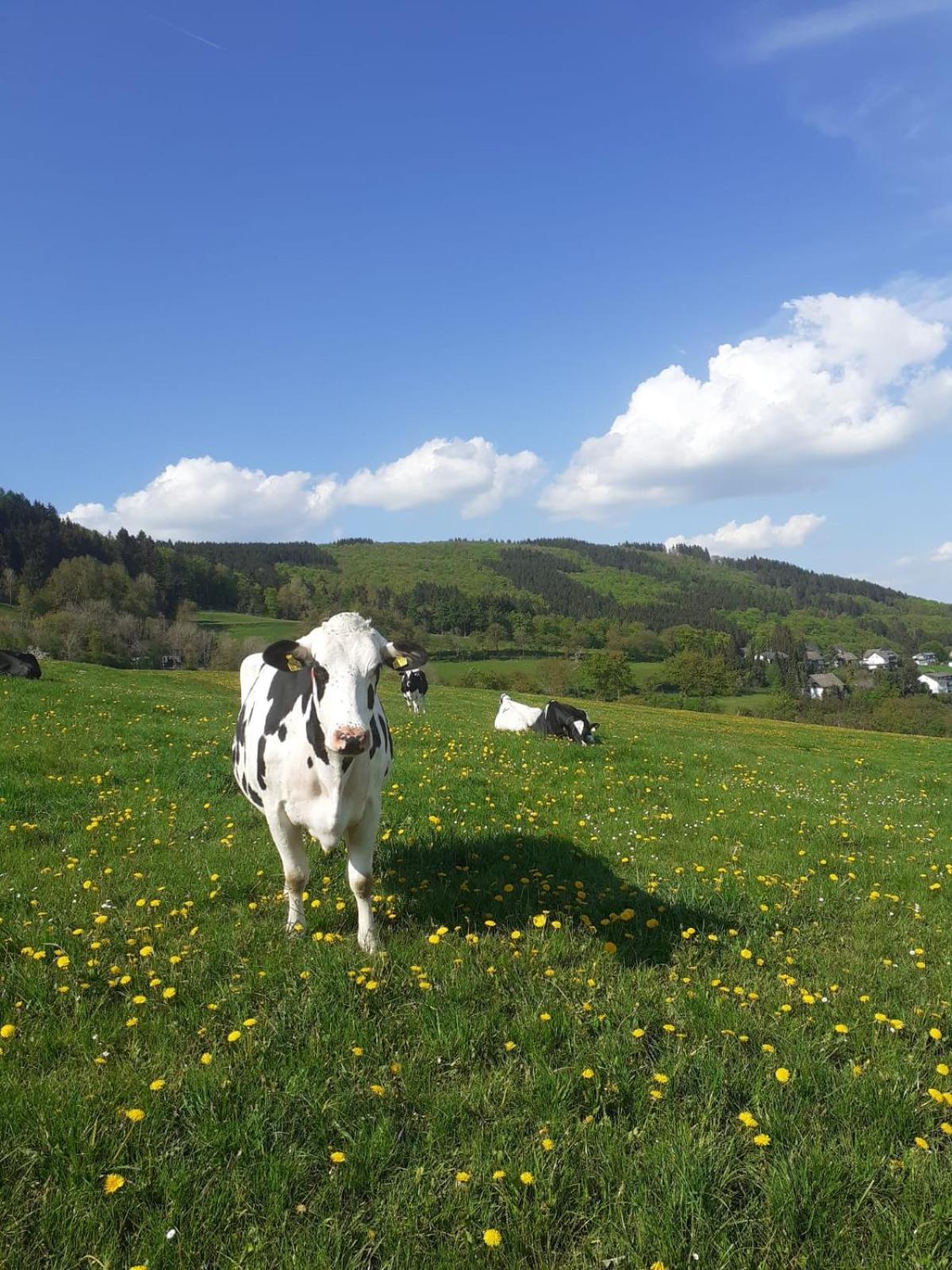 Ferienwohnungen Sternenhimmel Whg 1 Medebach Exterior foto